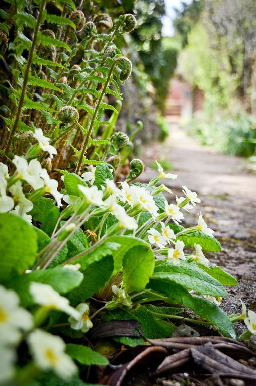The Longcross Hotel And Gardens Bodmin Luaran gambar